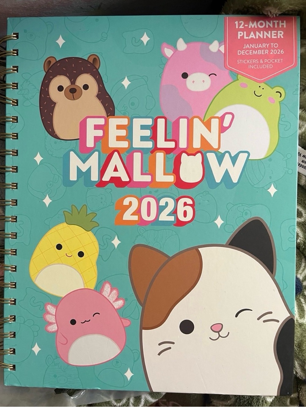 Squishmallows Teal Planner with Pink, Yellow, Green & Brown Accents - 2026